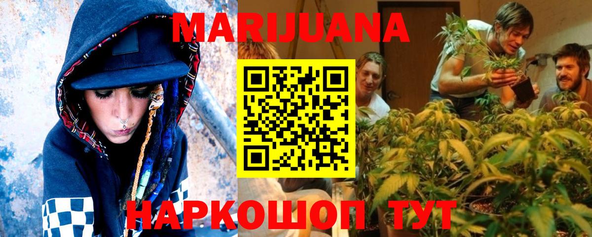 Каннабис план  Бошки марихуана ГИДРОПОН  Благодарный  Канабис марихуана  Вход с VPN 